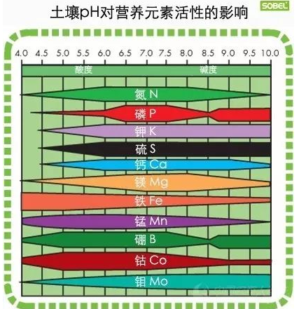 土壤病了，你用再多的肥料都是白瞎！