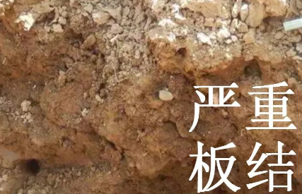 土壤病了，你用再多的肥料都是白瞎！