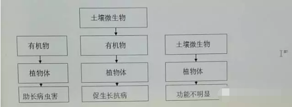 “土壤微生物”14大作用！一定要看！今天的主题想说大家在施用有机肥时一定要注意土壤微生物！那么为什么这