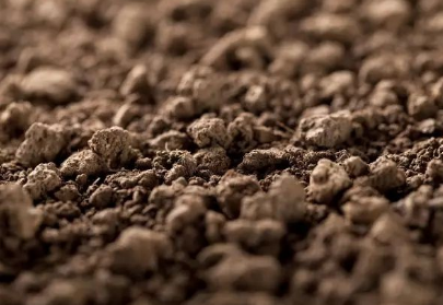 茶园土壤中的有机质对土壤肥力有什么作用？ 