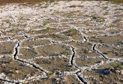 农村碱性土壤能使用稀硫酸改良行吗？