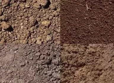 八个字讲透土壤问题：板、馋、贫、浅、酸、咸、脏、杂