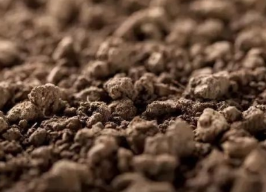 八个字讲透土壤问题：板、馋、贫、浅、酸、咸、脏、杂