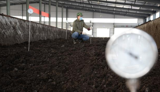 施用有机肥一定别忘了“土壤微生物”