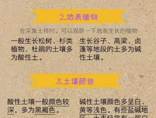 土壤病了多用肥料就会好？那你就错大发了