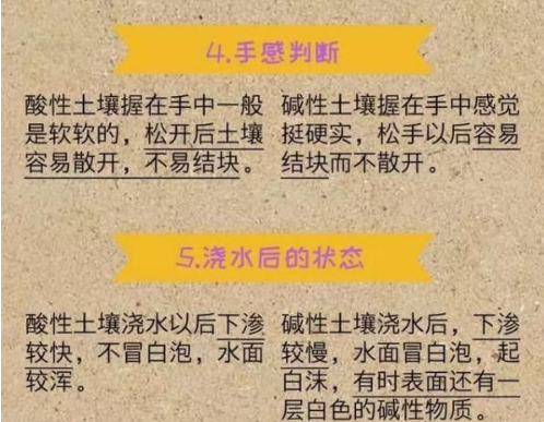 土壤病了多用肥料就会好？那你就错大发了