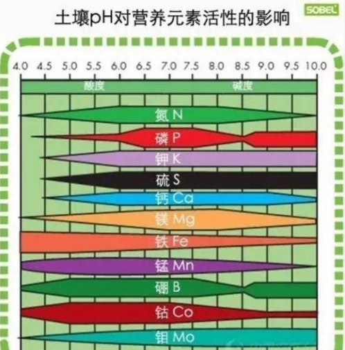 土壤病了多用肥料就会好？那你就错大发了