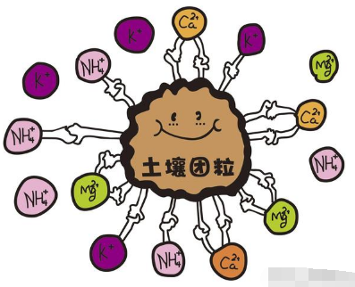 这肥料能改良土壤减少化肥投入，未来将成为农民种地首选