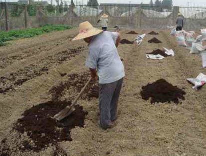 土壤改良，这6件事一定要做好