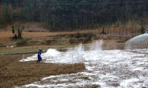 用生石灰调理土壤需慎重