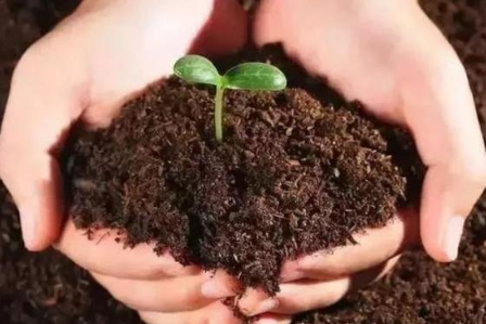 怎样判断土壤好坏，如何提高土壤肥力？