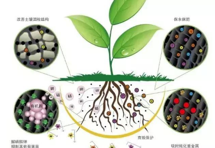 都知道要补充土壤微生物，微生物都在土壤中干些啥，你知道吗？