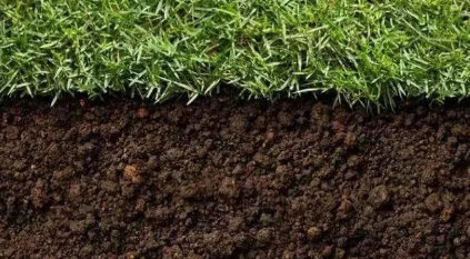 都知道要补充土壤微生物，微生物都在土壤中干些啥，你知道吗？