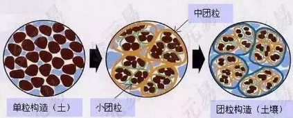 都知道要补充土壤微生物，微生物都在土壤中干些啥，你知道吗？