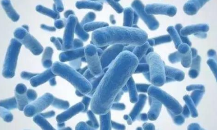 都知道要补充土壤微生物，微生物都在土壤中干些啥，你知道吗？