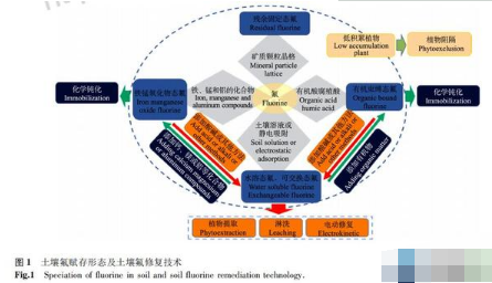 土壤氟形态与氟污染土壤修复