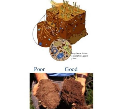 每亩用多少有机肥，土壤有机质才能增加1%，准确数据来了！
