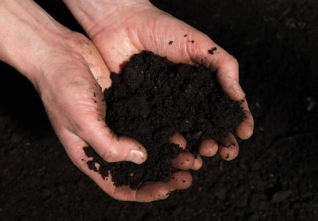土壤十看，教你轻松辨别土壤肥力~