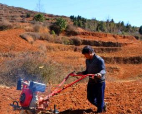 如何提高土壤生命活力、让肥料吸收率提高，作物健康生长？