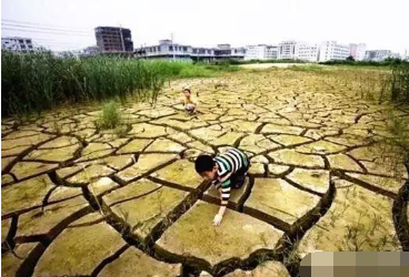 常见十大土壤病你知道几个？