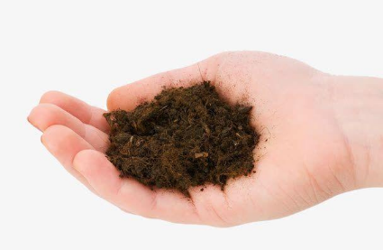 常见十大土壤病你知道几个？