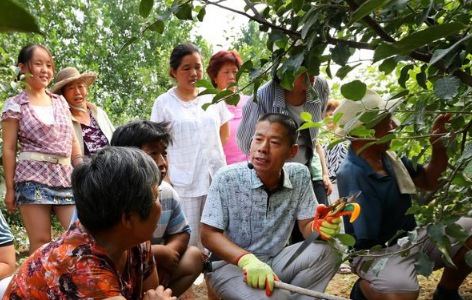 氨基酸肥料真的很厉害！全面解读氨基酸肥料对土壤作物的作用