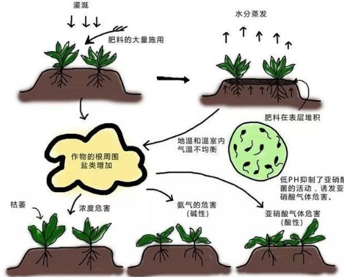 土壤酸化的原因