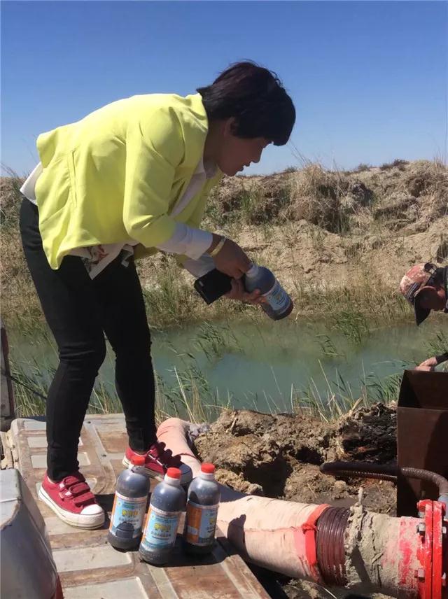 重磅消息：成都华宏传捷报，助力新疆福海2800亩食葵喜获丰收！