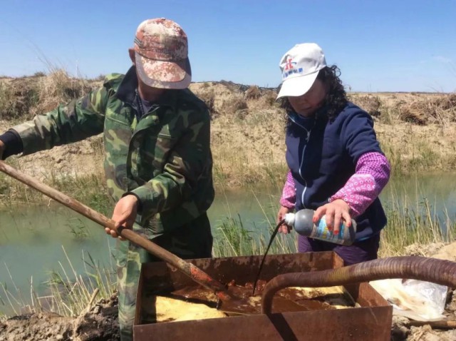 重磅消息：成都华宏传捷报，助力新疆福海2800亩食葵喜获丰收！