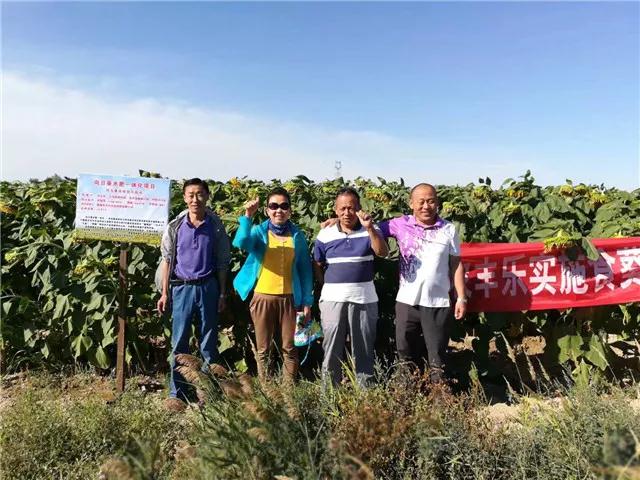 重磅消息：成都华宏传捷报，助力新疆福海2800亩食葵喜获丰收！
