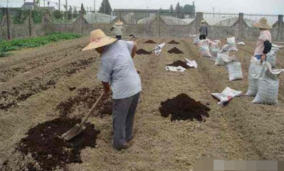 果园土壤改良基本措施