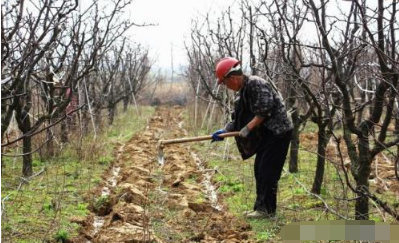 果园土壤改良基本措施
