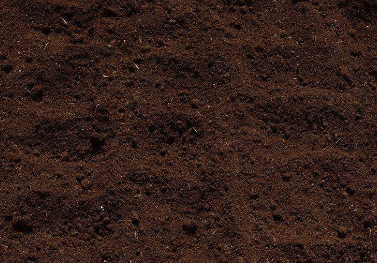 「肥料」施入土壤中的养分这么多，根系只吸收这种