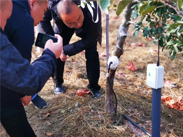 果树智能灌溉试验成功，黑科技助力果农增产增收