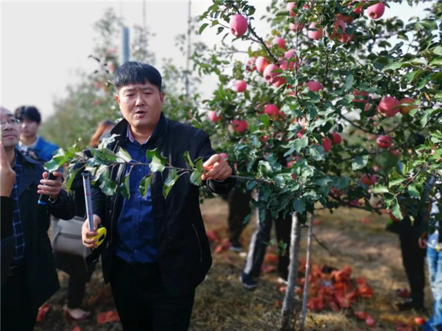 果树智能灌溉试验成功，黑科技助力果农增产增收