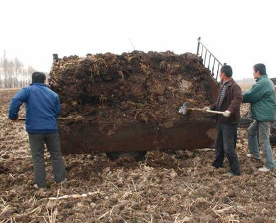 农家粪肥养分全、还能活化土壤，但为什么现在农民种地很少用了？