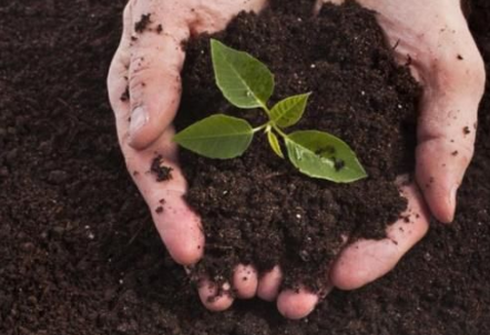 土壤肥不肥、是酸性还是碱性？学会这些方法，一眼辨别土壤酸碱度！