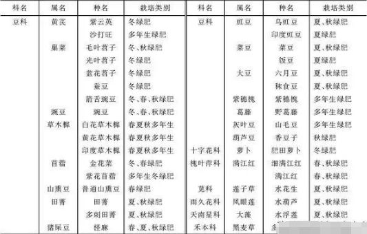 拯救土壤，为什么要施有机肥，怎么科学施肥