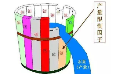 告急！我国一半的土壤缺中微量元素！别再只上氮磷钾了