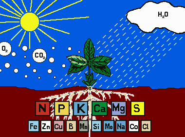 告急！我国一半的土壤缺中微量元素！别再只上氮磷钾了