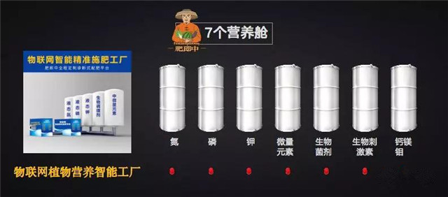 种啥地、施啥肥！肥郎中诊断式配肥平台“果蔬行业高峰论坛”！