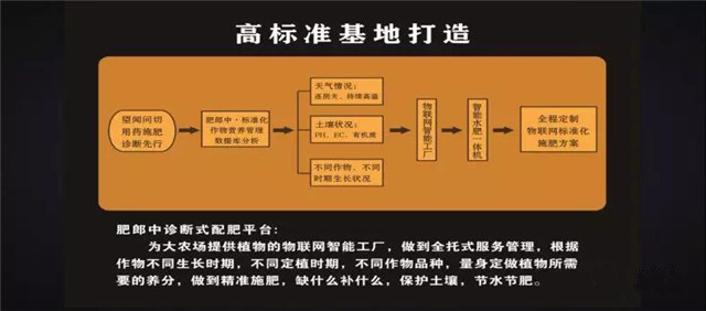 种啥地、施啥肥！肥郎中诊断式配肥平台“果蔬行业高峰论坛”！