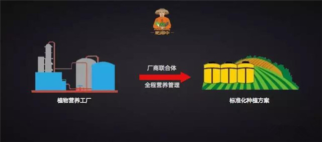 种啥地、施啥肥！肥郎中诊断式配肥平台“果蔬行业高峰论坛”！