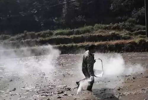 土传病害严重，用生石灰处理土壤要注意哪些问题？