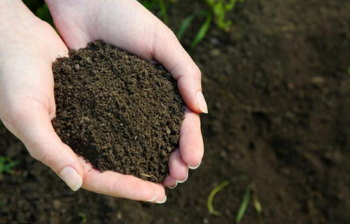 都说要提高“土壤肥力”，那么什么是土壤肥力，如何才能提高