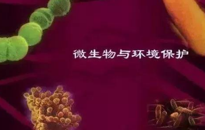 微生物都在土壤中干些啥，你知道吗？