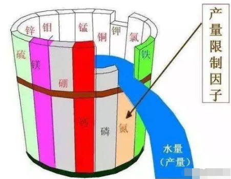 告急！我国一半的土壤缺中微量元素！别再只上氮磷钾了