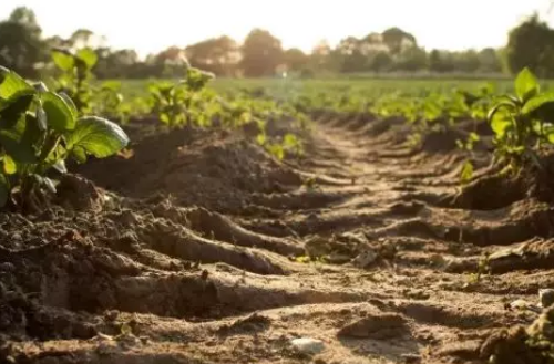 你是否知道土壤是不可再生资源？