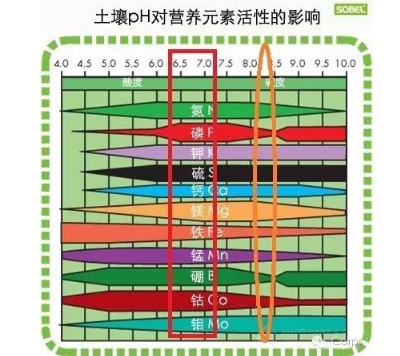 土壤三大“杀手”！直接影响肥效和作物生长，九成的人都不知道