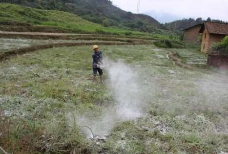 杀菌杀虫、改良土壤、增加养分…生石灰用得越多效果越好？